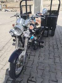 ستوته • اوراق كامله • مديل 12