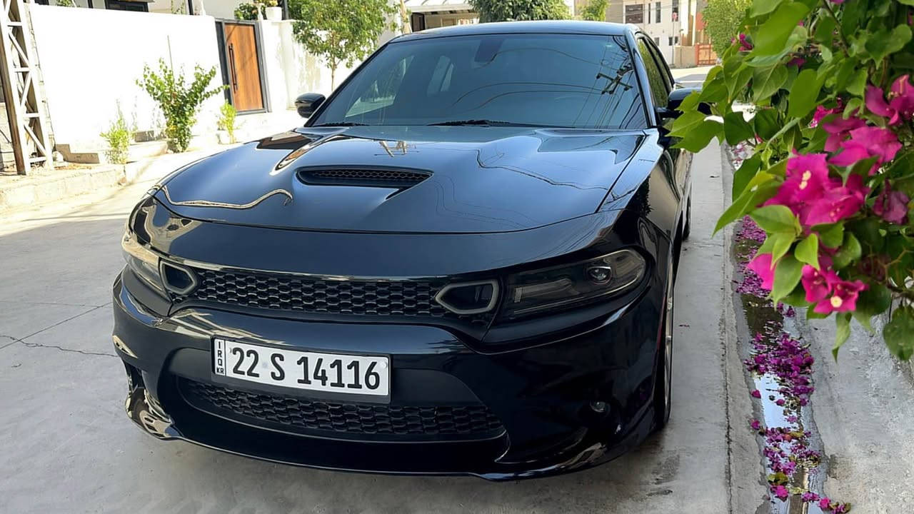 للبيع دوج جارجر 2022 GT تو ويل
فقط PDR جاملغ السكن سياره بدون صبغ
سيارة جداً نظيف كير و محرك كفاله
برغي نقص مابي
السعر :٢٦٧ ومجال 
مكان كركوك *********** كركوك, العراق
