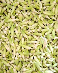 متوفر • جديدة • توصيل