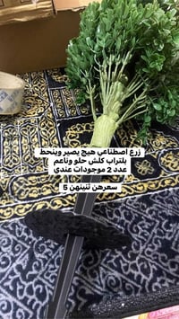 غراض امزون • متنوعة • سعر موجود