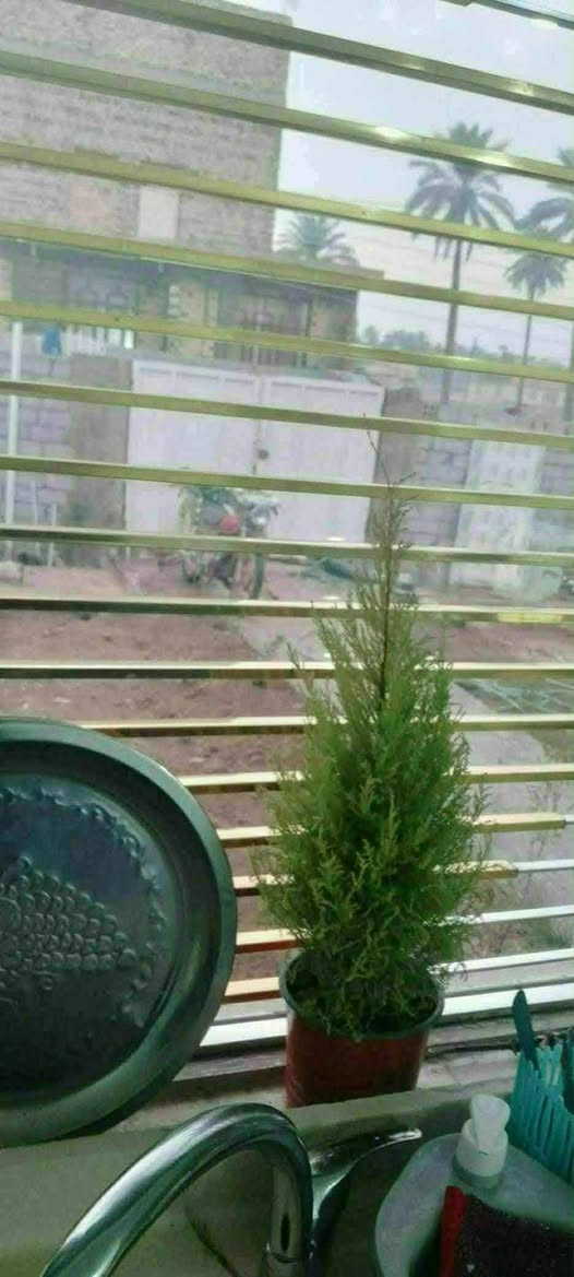 سلام عليكم دار للبيع قرب محطة العرفان المساحة 200متر   يحتوي البيت على غرفه ومطبخ 
 
وصحيات وهول طابو زراعي سند 25 
البيت مرتب مثل ما موضح بلتصوير.   الاتصال 

***********
