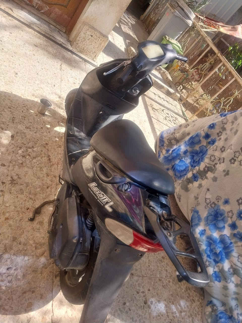دراجه نكره سلف مكينه ناعمه بس كفر الوجه تعبان شوي اوراقهه ظايعات سعر خاص


**إذا كنت صاحب هذا الإعلان وتريد حذفه لأي سبب، رجاءا أرسل رسالة إلى الدعم الفني**