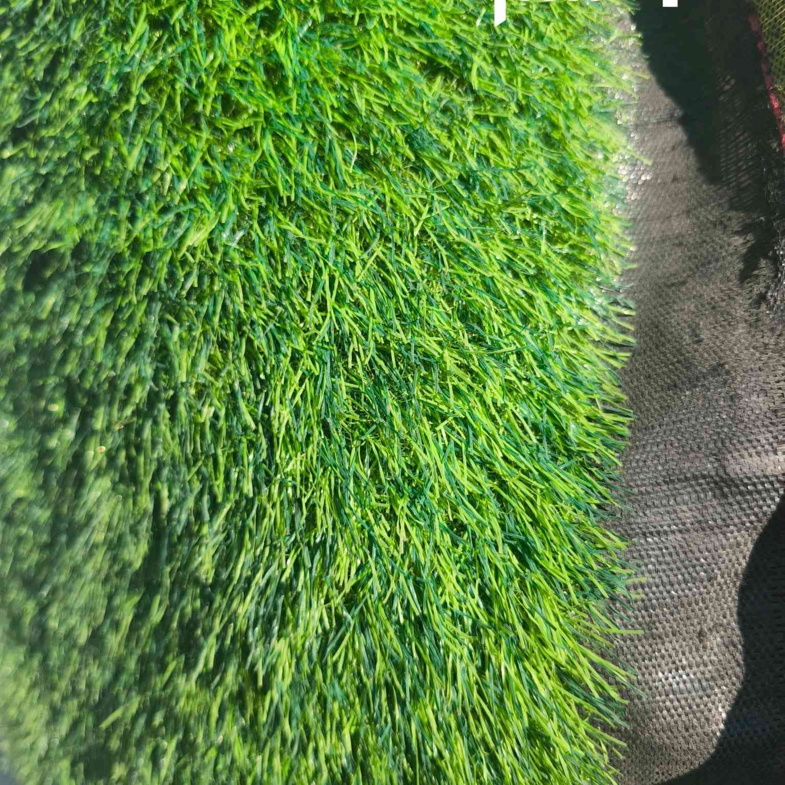 السلام عليكم متابعينا 🤍.
توفر ثيل صناعي فاخر بجودة عالية يناسب أجواء العراق ويعطي شكل طبيعي 100% 👌

✔ كثافة عالية ولمسة ناعمة تشبه الطبيعي
✔ يتحمل حر الصيف والمطر
✔ بدون سقي وبدون قص وبدون طين
✔ سهل التنظيف ويدوم سنوات
✔ مناسب للحدائق، السطوح، الشرفات، المدارس، الكافيهات والمشاريع
ثيل صناعي عرض 1 متر /عرض 2 متر والطول حسب الطلب 
2 سم سعر متر مربع ٦ الف فقط 🔥 
4 سم سعر متر مربع ٧ الف فقط 🔥
📍العنوان: بابل/ محاويل.
📍 متوفر توصيل لجميع محافظات العراق 🚗🚗 
📍للحجز والاستفسار يرجى مراسله الصفحه او مراسلتنا على واتساب من خلال الرقم ***********
