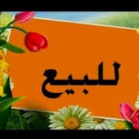 طابو زراعي • سند ٢٥ • حله كورنيش زوير