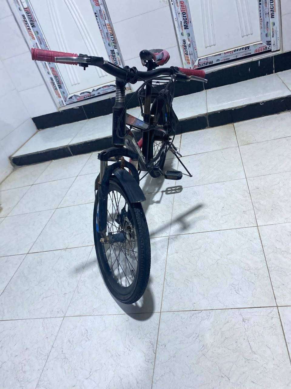باسكل جبلي حجم 20 باسكل نظيف والسعر 60


**إذا كنت صاحب هذا الإعلان وتريد حذفه لأي سبب، رجاءا أرسل رسالة إلى الدعم الفني**