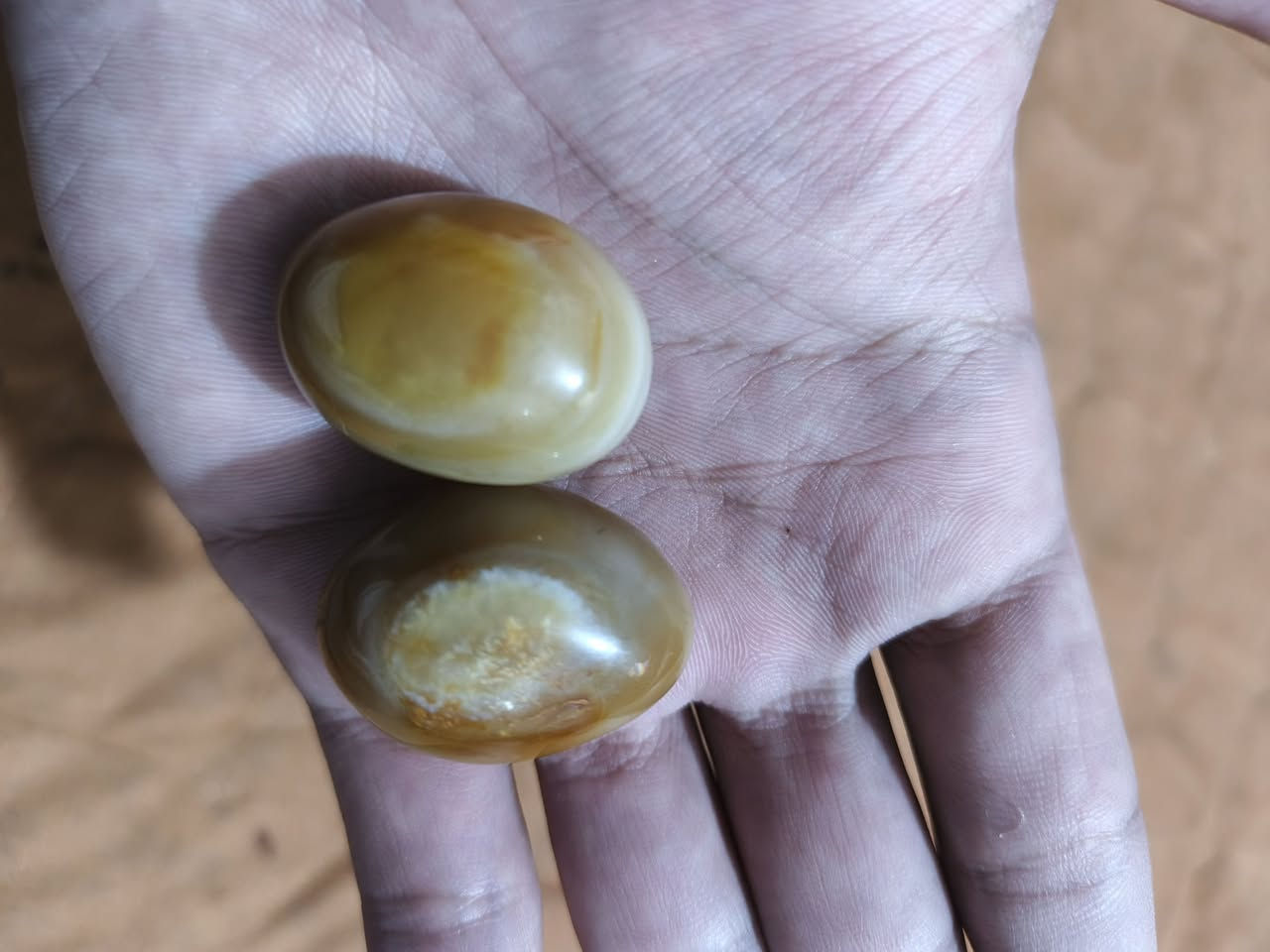 السلام عليكم
شباب قسم بالله الكريم 
احلامهن عبارة عن ف.. س.. اد شنو الوضع؟؟؟ 

ومستعد انطيهن ع الفحص خاف يجي واحد يعلق يكول تريد تبيعهن تعال ابيعهن الك ع التجربة ما عجبنك رجعهن لان خبلني اخير شي هسة ضميتهن عزلتهن

اللي يفتهم بيهن يتصل بية وبعيني

***********
