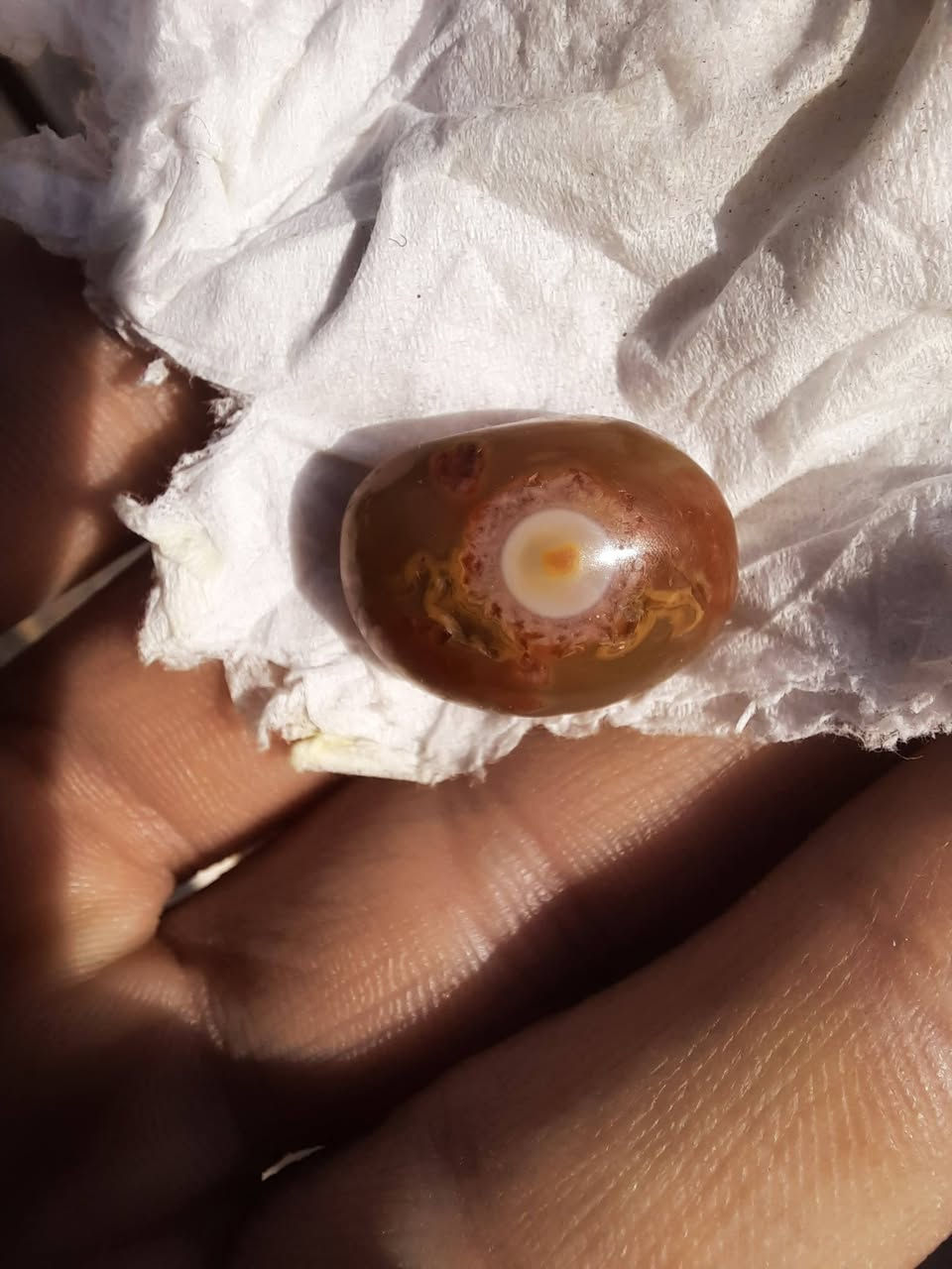 السلام عليكم سليماني هندي عين شمسيه مصور داخل العين قلب قديم ابيع لليهتم السعر خاص (تريد تصوير اوضح تعال خاص )
يوجد توصيل


**إذا كنت صاحب هذا الإعلان وتريد حذفه لأي سبب، رجاءا أرسل رسالة إلى الدعم الفني**