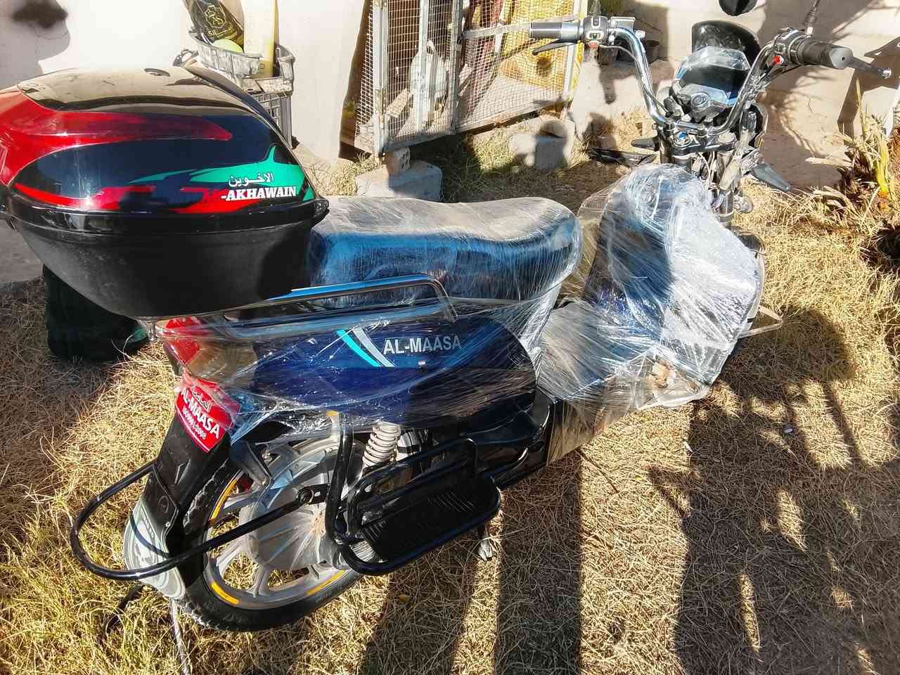 موطور شحن للبيع
نوع
هارلي
 ✅بطاريات عل فحص✅
⭕لايت عالي ناصي 
⭕ شاشه الكترونيه 
⭕نظام ®️ الرجوع الى الخلف
⭕ نظام 4 سرع 1234 
⭕ بريك امامي، خلفي 
⭕ اشاير يمين، يسار
⭕تشغيل عن بعد 
⭕ جهاز انذار سرقه
⭕ شاحنه الشركه الاصليه 
⭕ كلشي شغال كهربائيات 
الموطور نظيف مثل ما موضح بالصور 
(( السعر 275 )( بي مجال)رقمي مكاني شهداء
***********
