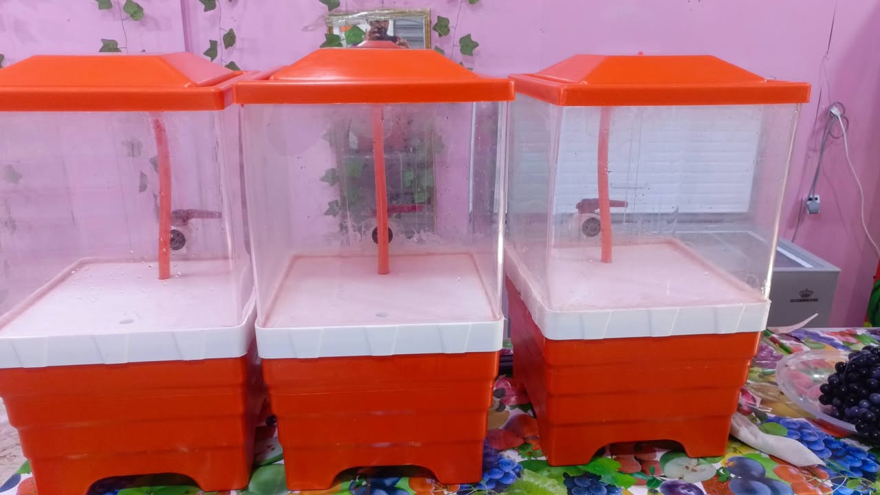 للبيع كلمن وسعره
طبله كبيره وحده 
15 كرسي 
12 طبله وسط
4 احواض شلال  مال شربت  
فاكهه اصطناعية 
4 خلاط
واتساب ***********
