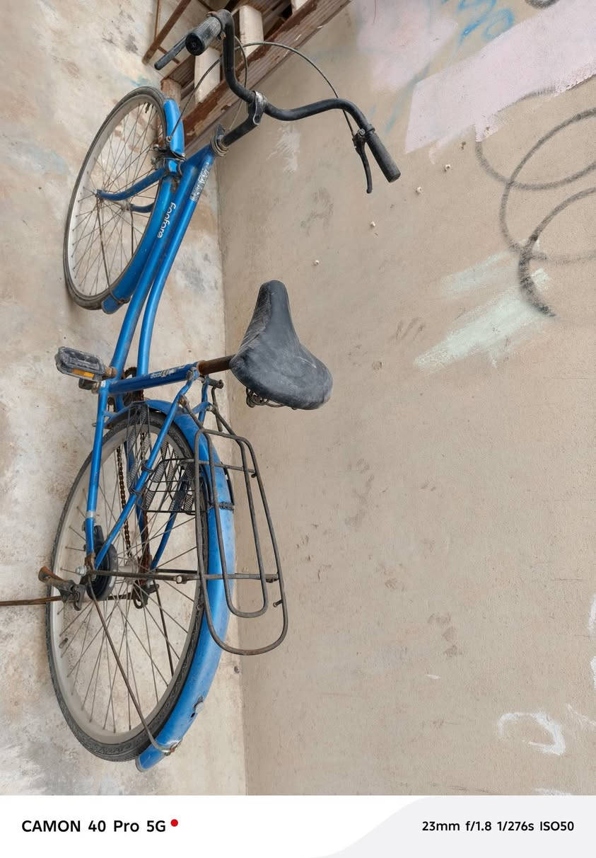 سلام عليكم

بوسكل للبيع
السعر 50الف وبيها مجال

ادمن وافق


**إذا كنت صاحب هذا الإعلان وتريد حذفه لأي سبب، رجاءا أرسل رسالة إلى الدعم الفني**