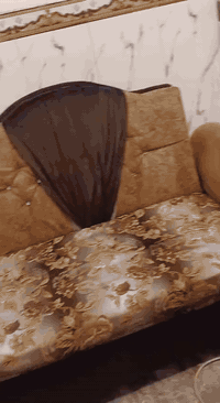 تخم ديوان مستخدم نضيف جدا القاعدة خشب بلوك يحتوي على ٤ كراسي نفرين وزاوية وكرسي ١ نفر قياس ٤ في ٢ متر مكان حي اور جامع الفردوس ***********
سعر ٣٠٠ الف
