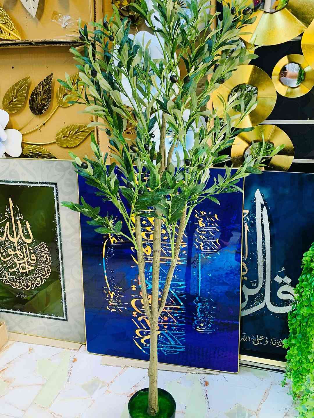 زيتونة 170 سم تركيب جذع حجم كبير


**إذا كنت صاحب هذا الإعلان وتريد حذفه لأي سبب، رجاءا أرسل رسالة إلى الدعم الفني**