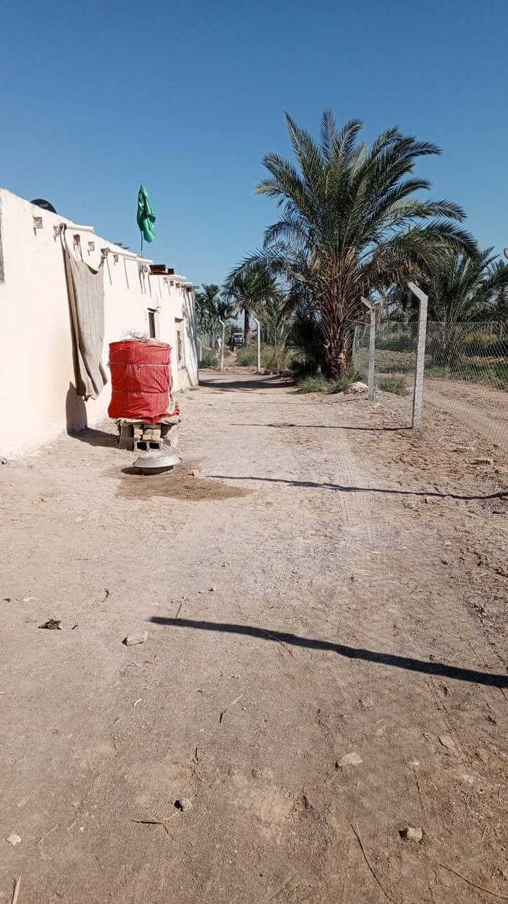 بستان 2دونم مع ثلاث بيوت +ديوانيه 12م على الشط بين النصر وشطره بضهر محطة حسن عيسى السعر 100وبيه مجال الشراي  يتصل *********** ويدلل
