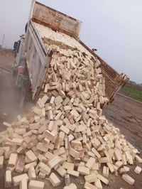 طابوق شوملي • درجة اولى