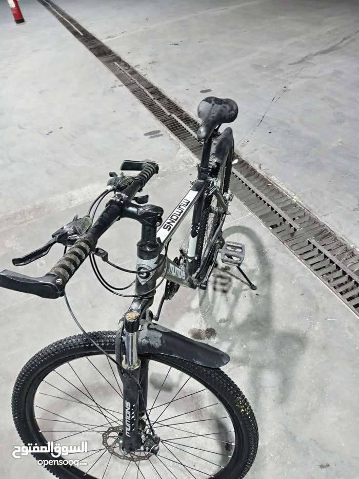 احجز الان حجم 29 سعر نارررر 60 نهائي 🔥🔥


**إذا كنت صاحب هذا الإعلان وتريد حذفه لأي سبب، رجاءا أرسل رسالة إلى الدعم الفني**