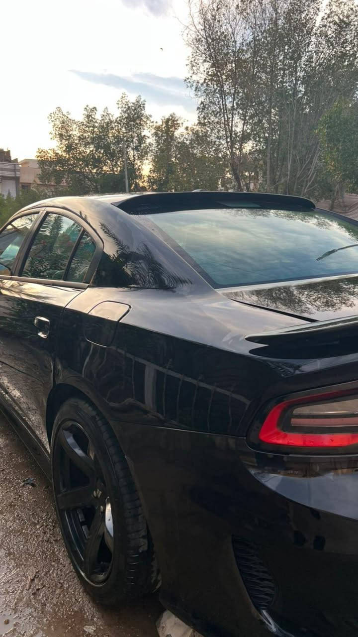 جارجر Sxt
رقم بغداد الجديد ب اسمي 
موديل 17
محرك ٦ سلندر ٣٦٠٠ 
ماشيه ٠122
سياره فول حتىالفتحه 
شاشه جبيره 
تدفئه كشنات 
مري جانبيه هيتر الوسط تعتي
كير مكينه مكفول 
السياره  حادث امريكا  فقط تحديث بنيد ودعاميات اس ار تي 
وشكم مكان بارد  
السياره استعمال شخصي 
والسونار بالمنشور 
مكاني ميسان 
سعر ٢٠٢ $
ترهم مراوس بأقل موديل او توسان ***********

