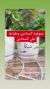 مشتل_زهور_النرجس • سنادين • طباعة