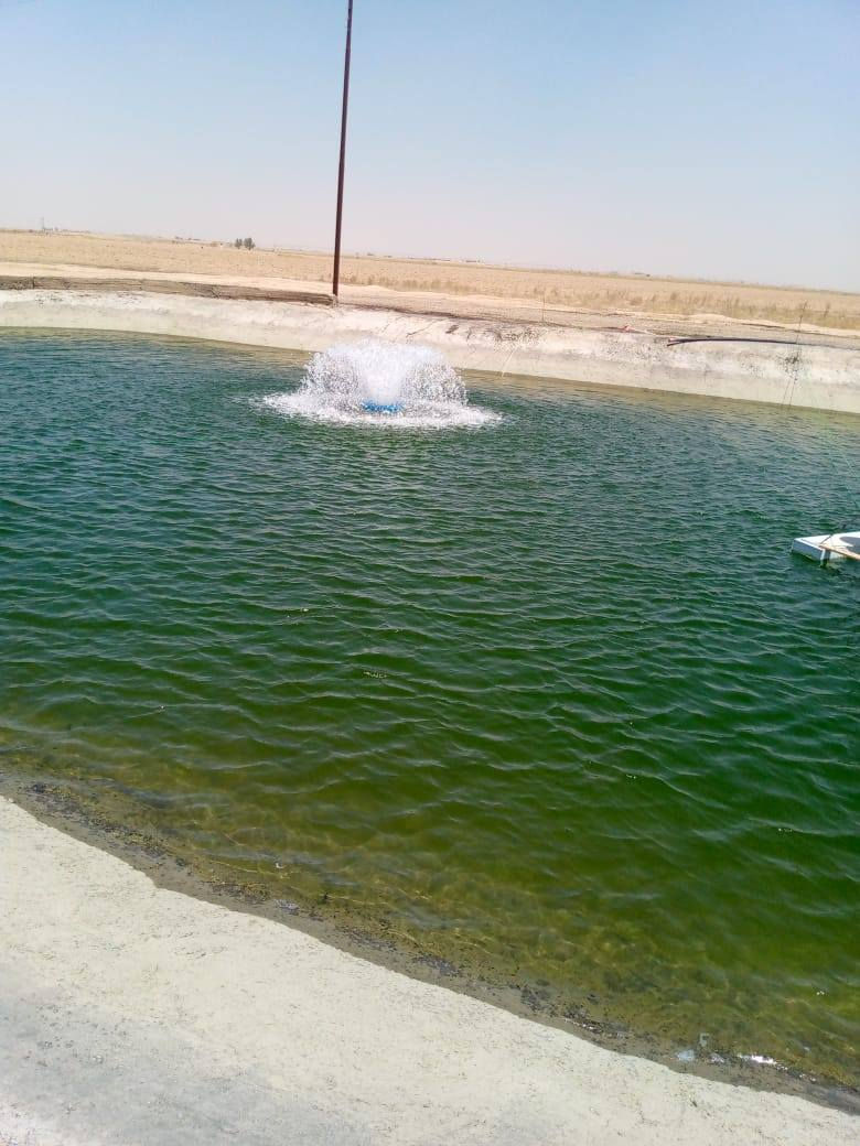 للبيع مساحة 210 دونم طابو ملك صرف الدونم 8 مليون ماجره بالموسم ب35 مليون سنويا وقابله للزياده للاستفسار الاتصال على الرقم ***********
