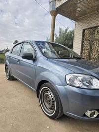 أفيو • ٢٠٠٧ • بلا صبغ