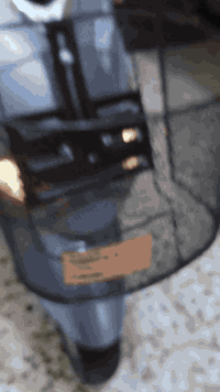 ماكس منغولي للبيع كفاله عامه عل فحص وين ميعجبك تفحص صار له ٣ شهر من طا...