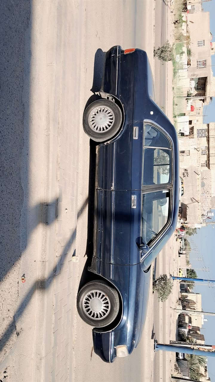 سلام عليكم ارنب مديل 93رقم بابل سياره مصبوغه عام الجماليه مكان ميسان ابو برمانه السعر 45(***********)ابو زهراء
