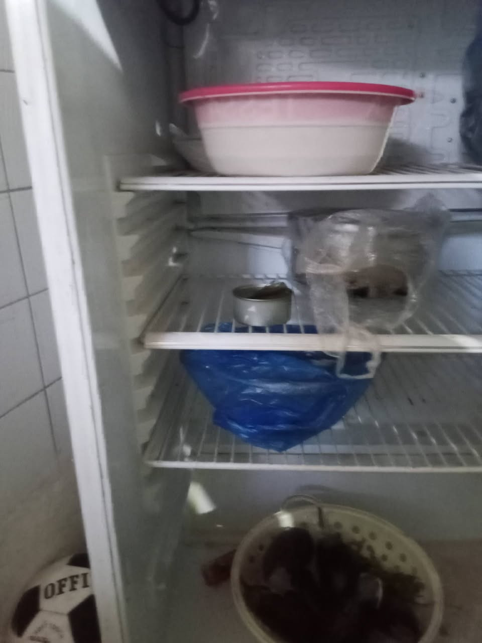 ثلاجة170 جهاز جري ثابت90


**إذا كنت صاحب هذا الإعلان وتريد حذفه لأي سبب، رجاءا أرسل رسالة إلى الدعم الفني**