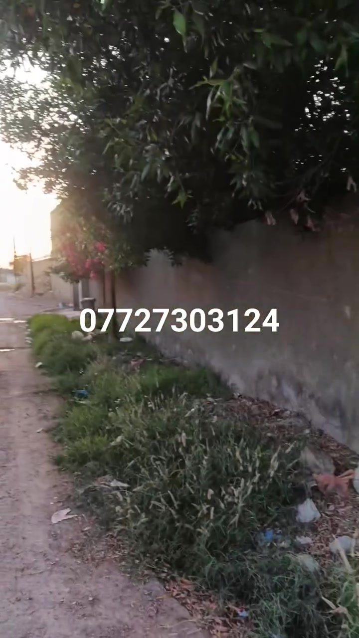 يا الله 
بيت للبيع بناء طابوق سقف عكاده مساحة البيت تقريباً 180 
عنوانه كوت حي الجهاد زنابره قرب حسينية ام البنين قريب عل شارع.
الاستفسار الاتصال 
***********
