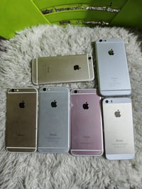 فحم • قيم • شلع