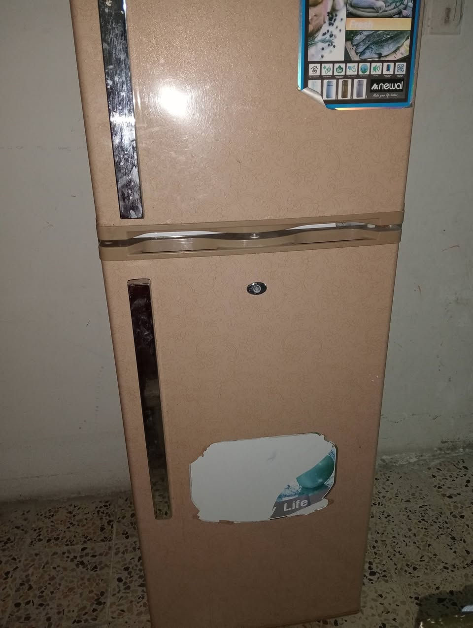 ثلاجه عاطله للبيع تبرد وترجع تفصل السعر 75 موصل حي السكر


**إذا كنت صاحب هذا الإعلان وتريد حذفه لأي سبب، رجاءا أرسل رسالة إلى الدعم الفني**