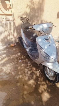 للبيع ماكس منغولي بوشه49 سعر 350 07830879644