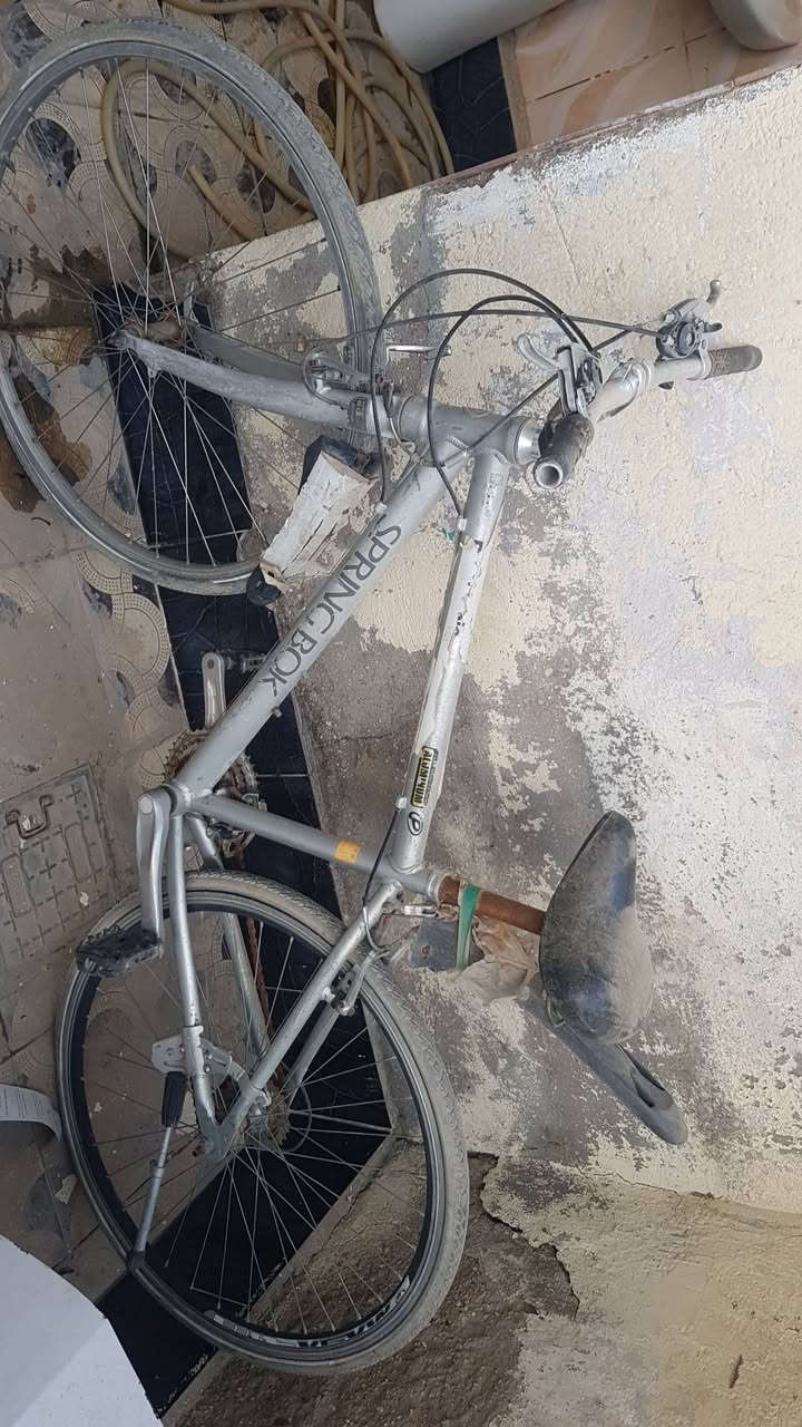 غراض بيت للبيع بأسعار مناسبة مكانهم ابو غريب حي الصديق شارع عشرين


**إذا كنت صاحب هذا الإعلان وتريد حذفه لأي سبب، رجاءا أرسل رسالة إلى الدعم الفني**