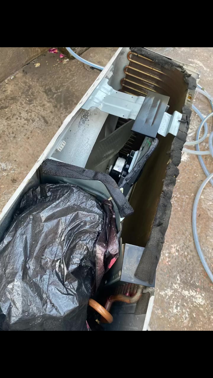 *********** الثعالبه
