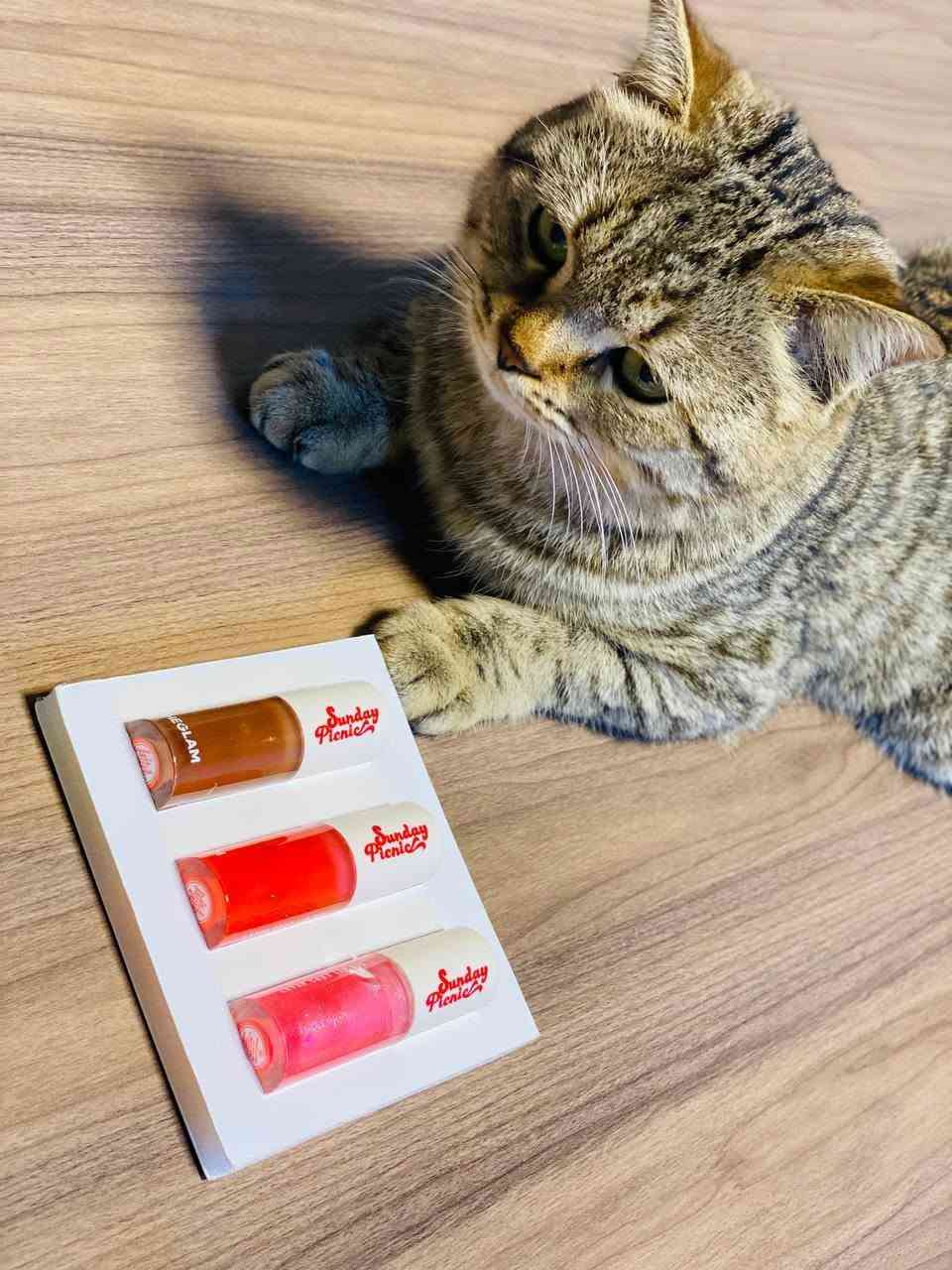 شيكلام استعدي لأحلى لمسة جاذبية مع مجموعة Sheglam Sunday Picnic – Layer Cake Lip Oil 💋🍓
ثلاث زيوت شفاه فاخرة ترطّب وتلمّع وتضيف لون ناعم يخلّي ابتسامتچ تخطف الأنظار ✨

💄 كلوسات الألوان المتوفرة بالمجموعة:
بني شوكليت 🤎 لمسة طبيعية دافية تناسب كل إطلالة.
أحمر توت ❤️ لإطلالة جريئة وأنثوية.
وردي غليتر 💖 بلمعة ساحرة مثالية للمناسبات اليومية والسهرات.

✔️ قوام خفيف وما يترك لزوجة
✔️ يمنح الشفاه مظهر ممتلئ وصحي
✔️ ممكن استخدامه وحده أو فوق أي روج لإضافة لمعة ✨

🍯 كل سيت يحتوي على ٣ زيوت شفاه – 6ml لكل واحد، يعني رفاهية تدوم معاچ طول اليوم 🌸

يوجد خدمة توصيل لجميع المحافظات العراق 
حسابنا الانستكرام 1rosse_berry


**إذا كنت صاحب هذا الإعلان وتريد حذفه لأي سبب، رجاءا أرسل رسالة إلى الدعم الفني**