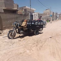 ستوته • موديل 14 • اوراق كامله