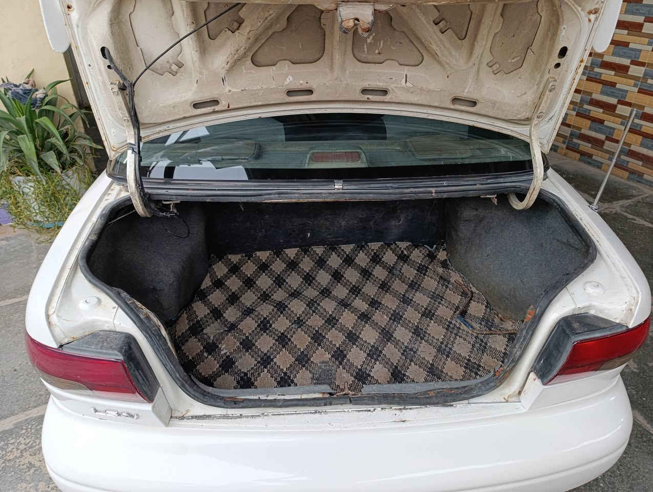 السلام عليكم كيا سيفيا موديل 1995 رقم بغداد مشروع وطني سنويه ما منتهيه مصبوغه حزام للجماليه لا ضربه ولا كص متعهد تحويل مباشر كير ومحرك زغير (مفتوح)خير من الله لا تبخير ولا تنقيص كهربائيات كله شغاله تخم تأثير صدر امامي وخلفي جديد مشط باور شغال تبريد عاطل مكاني بابل جبله *********** السعر 40وبيه مجال قليل
