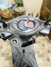 سكنس فحل • ياباني • كفاله