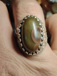 سليماني • زيتوني • مقاس ٢٤