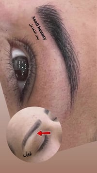 مركز العسل • الامين الثانيه • سيطرة الجمهوريه