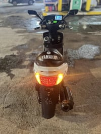 سكنس فحل • مكفولة • اوراق