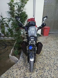 جبلي • موديل 25 • فلوجه