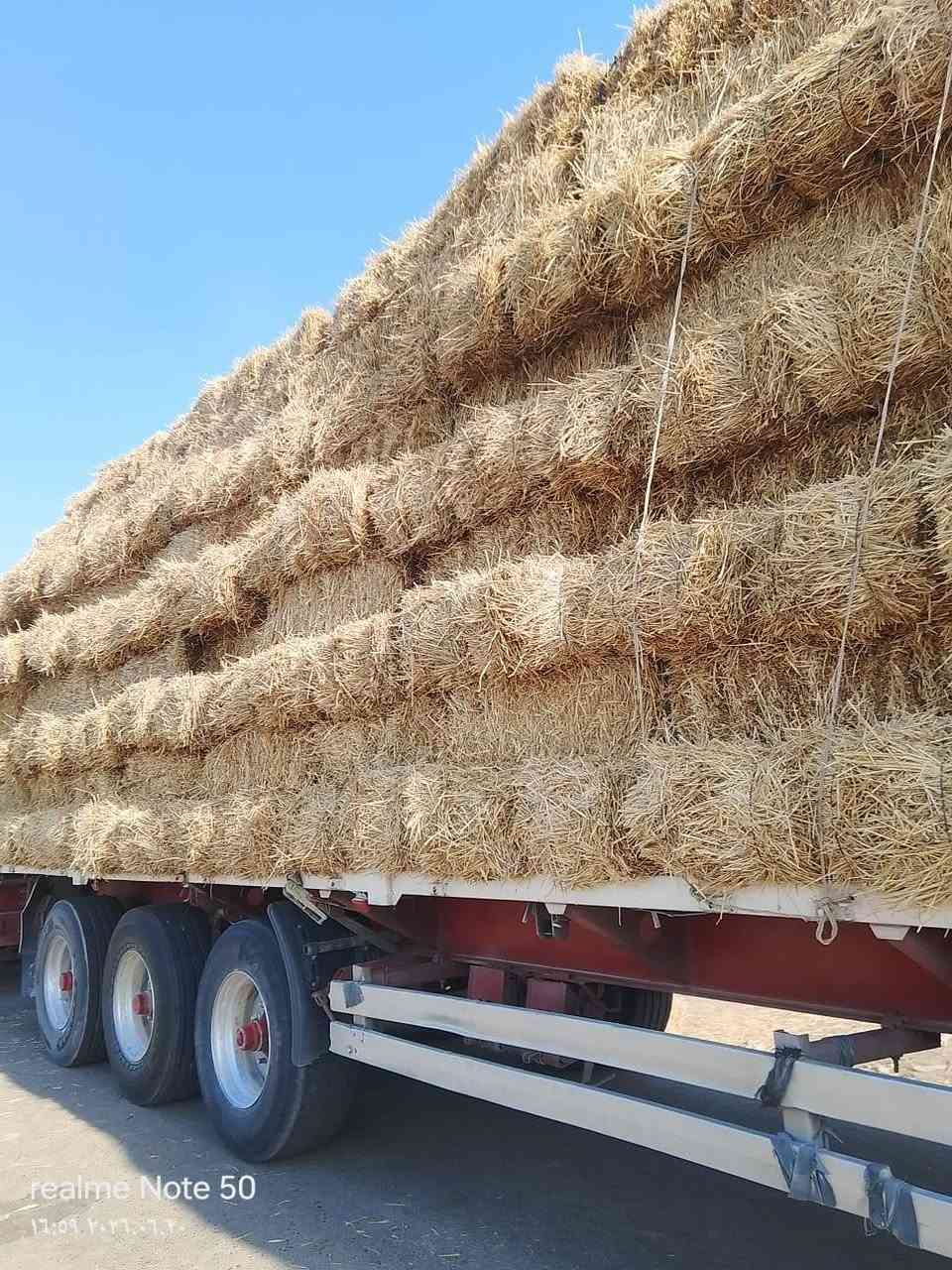 تبن البيع 1850 واصل


**إذا كنت صاحب هذا الإعلان وتريد حذفه لأي سبب، رجاءا أرسل رسالة إلى الدعم الفني**