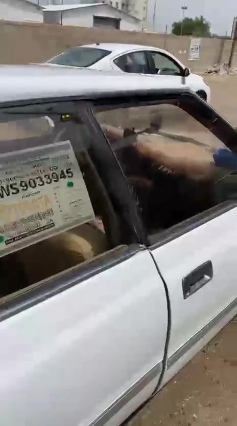 السلام عليكم شيزر للبيع رقم نجف دولي شرط مداور
مكفوله من كصه او ضربه كير مكينه تبريد حداديه خير من الله مكان السياره نجف للبيع او مراوس للاستفسار راسل متواجد 24ساعه سعر 40بيه مجال


**إذا كنت صاحب هذا الإعلان وتريد حذفه لأي سبب، رجاءا أرسل رسالة إلى الدعم الفني**