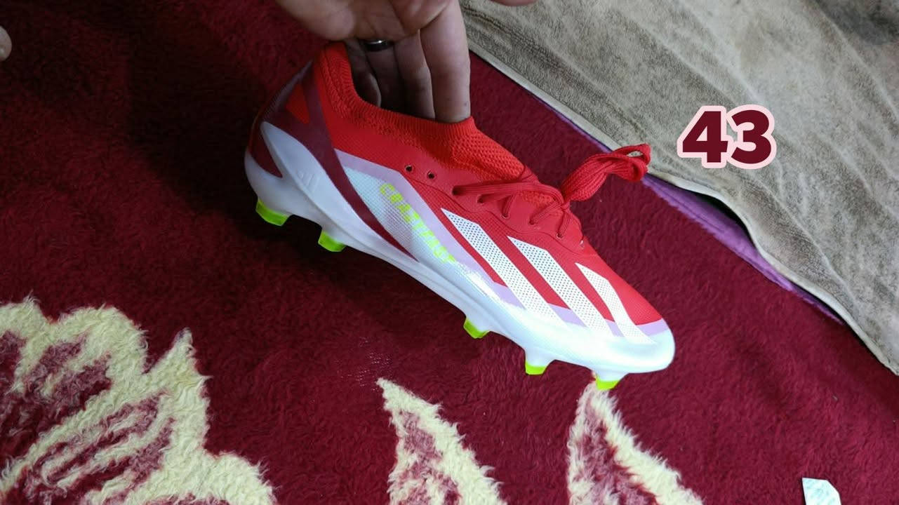 كل قطعه سعر خاص اصلي


**إذا كنت صاحب هذا الإعلان وتريد حذفه لأي سبب، رجاءا أرسل رسالة إلى الدعم الفني**