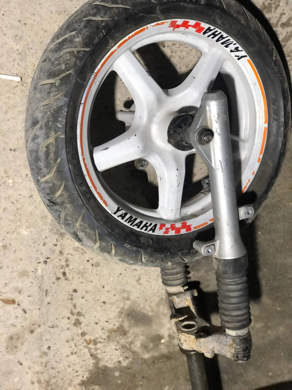 تفصيخ غراض سكنس نثية فحل
كلمن وسعره 

مكاني بغداد الشعلة 

***********
