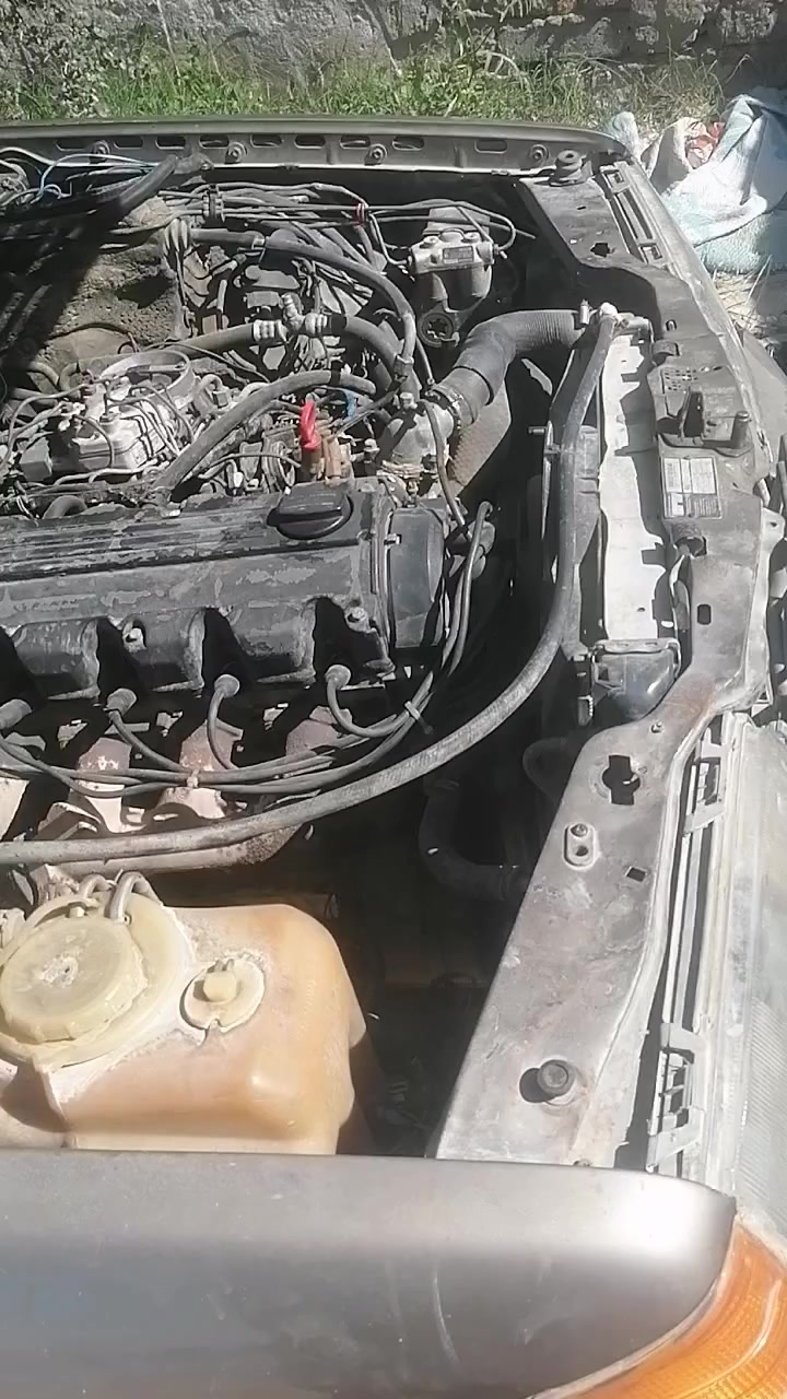 مكينه سته عنكبوت مجفت جديد تخم نوزل جديد كتف بنزين ميكانيكي توني شاده بخار بدون صرفيه  ***********
