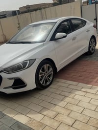 النترا • ٢٠١٩ • النجف