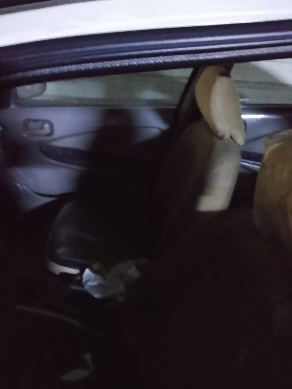 سني موديل 2002 ياباني بسمي صبغ عام تغير لون من أجره الئ خصوصي مدام عينكم رايدها60بيه مجال هذا رقمي *********** سكني بغداد ابو غريب
