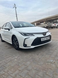 كورله • ٢٠٢٥ • البصرة