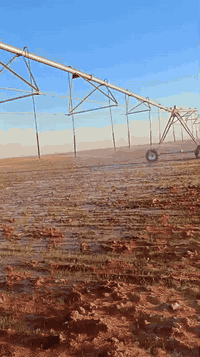 السلام عليكم أرض للبيع قرب سيطرة الحشد على الحج البري المساحه ٤٠٠ دونم بيها ثلاث مرشات محوريه ثنين منصبات ام ٦٠ دونم جاهزات من مولد وبئر وغطاس ومولدات
والمرشه ام ٨٠ ما منصبه بعدها ومرشتها موجوده
للاستفسار *********** النجف غير متواجد عله الفيس اخوني عقد كامل حته خطه مال زراعه كامل هايه السنه
