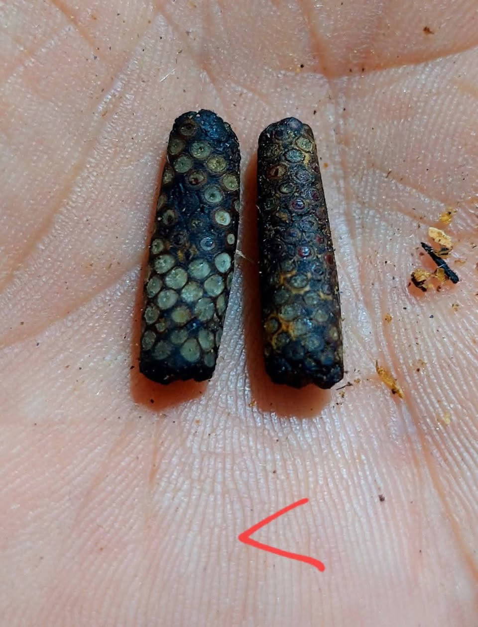 #يا #الله
#ماتوفيقي #الابالله.   عرض خاص في شهر رمضان الخير  خصم 30 بل100 وخادم الكم بس في شهر رمضان 🌸🌺👉  120 الف مع الختم والتوكيل   ✌️👉   عرج سويحل نباتي طبيعي 100بل 100  افريقي بي ريحه شلون  المسك الطبيهي مروحن وجاهز حسب القواعد الروحانيه الخاصه بيهن بيع منه ويعرفون الي ماخذين مني شنو من طاقه وروحانيه يباع ثنين خوات

#جزء #من #فوائد #الروحيه  👇👇👇👇👇👇👑👉

1 #محبه وقبول وتسهيلات عامه     شغل عام عام ومال زماط

2 عقد السان لجم وقبل 

3 راحه نفسيه 

4 جاه وجه والهيبه ودخول على السلاطين وتغلب على الأعداء بصوره عامه 

5 تسهيل امور بالبيع والشراء والتجاره  شغل جوكر 🃏 عام  مفتوح ومشروط يباع طبيعي مع الختم والتوكيل مع طلسم خاصه بي ينختم  ويه علبه نحاس هديه


**إذا كنت صاحب هذا الإعلان وتريد حذفه لأي سبب، رجاءا أرسل رسالة إلى الدعم الفني**